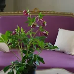Chateau De Bed & Breakfast Pommeuse