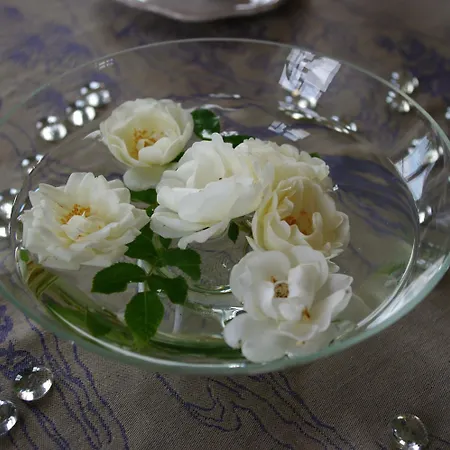 Panzió Chateau De 4*